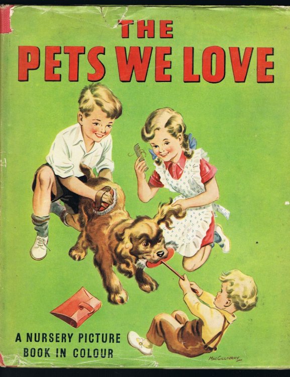 The Pets We Love Picture Book