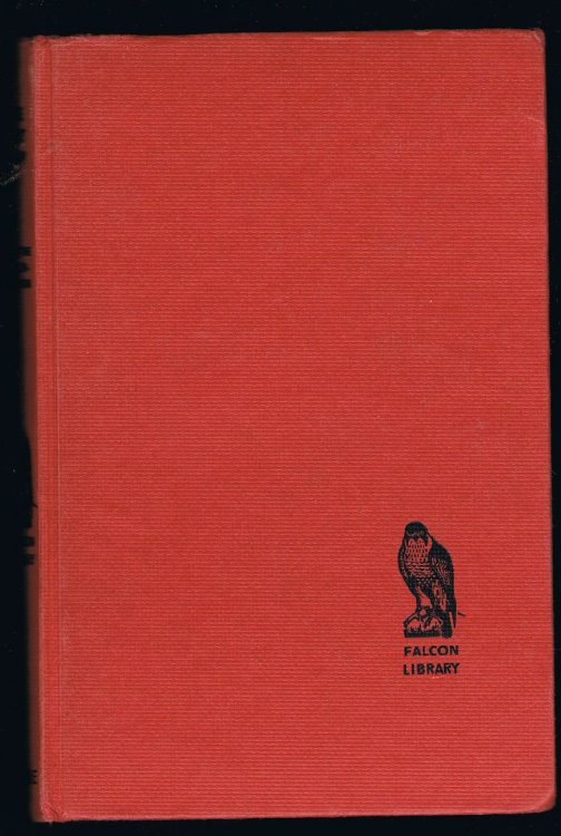 The Lost Pony