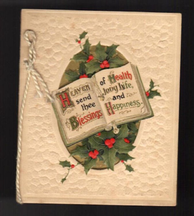 Holly New Year Embossed Greetings Card