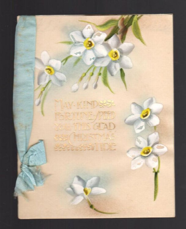 Pretty Narcissi Christmas Greetings Card