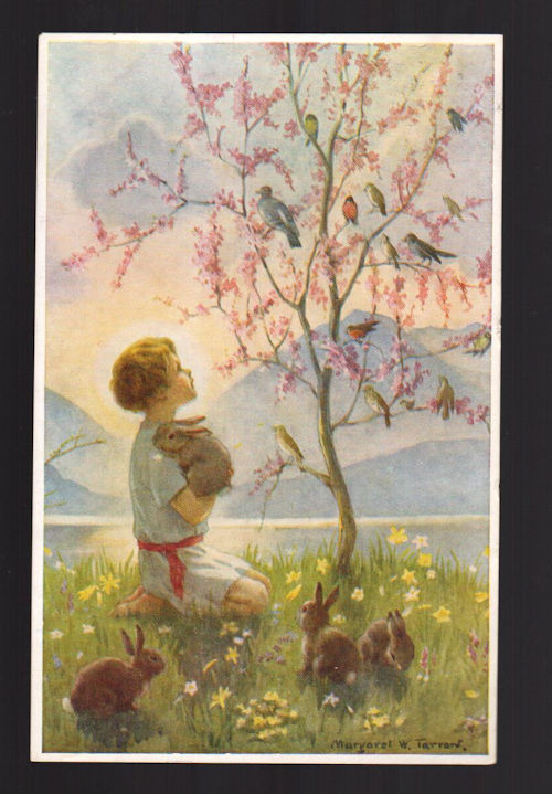 Morning Carol Postcard