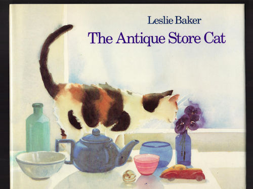 The Antique Store Cat