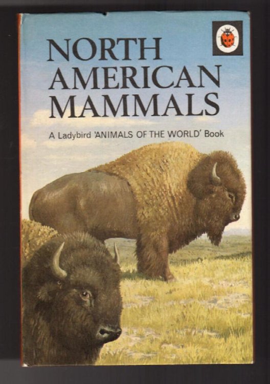 North American Mammals - Ladybird Animals of the World