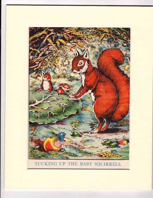 Tucking Up the Baby Squirrels [Mounted Ilustration from Happy Days]