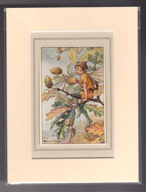 The Acorn Fairy (Mounted Print from Autumn Songs with Music)