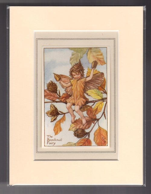 The Beechnut Fairy (Mounted Print from Autumn Songs with Music)