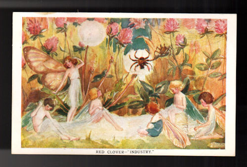 Red Clover - Industry Fairy & Spider Postcard