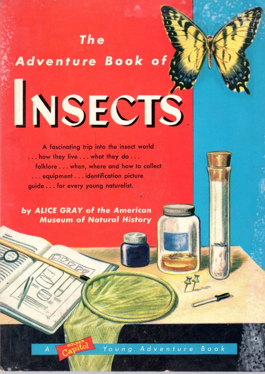 The Adventure Book of Insects