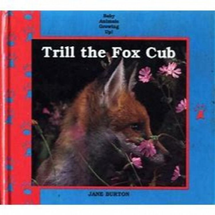Trill the Fox Cub (Baby Animals Growing Up)