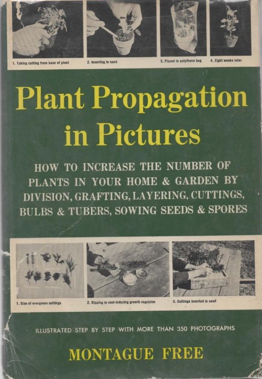 Plant Propagation in Pictures