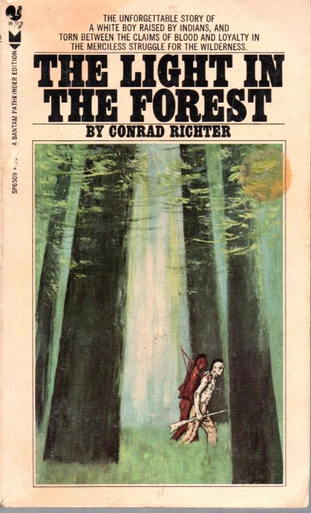 The Light in the Forest