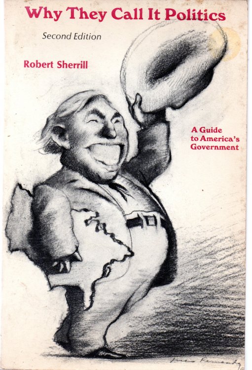 Why They Call It Politics: A Guide To America's Government