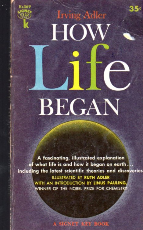 How Life Began