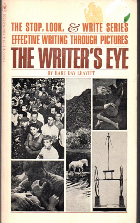 The Writer's Eye