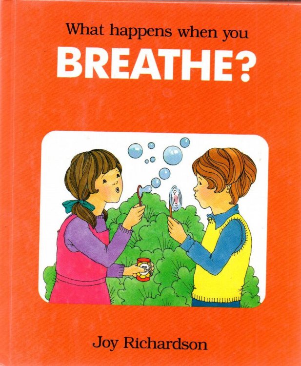 What Happens When You Breathe