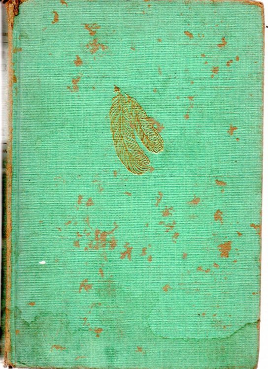 Bright Feather - A Novel