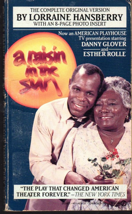 A Raisin In The Sun