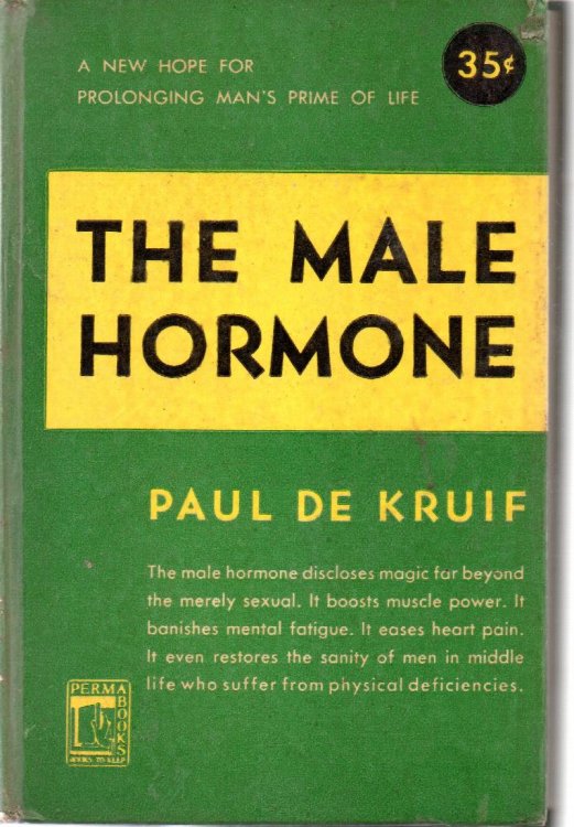 The Male Hormone