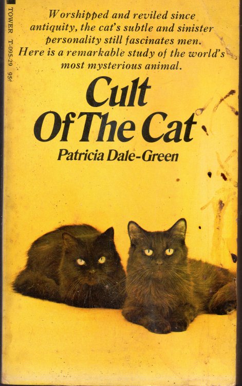Cult of The Cat