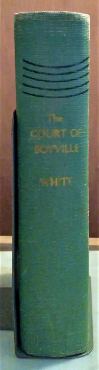 The Court of Boyville