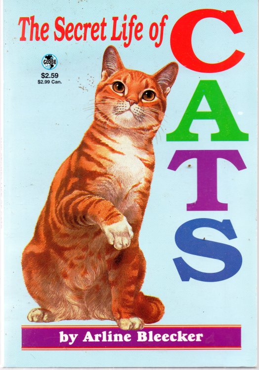 The Secret Life Of Cats