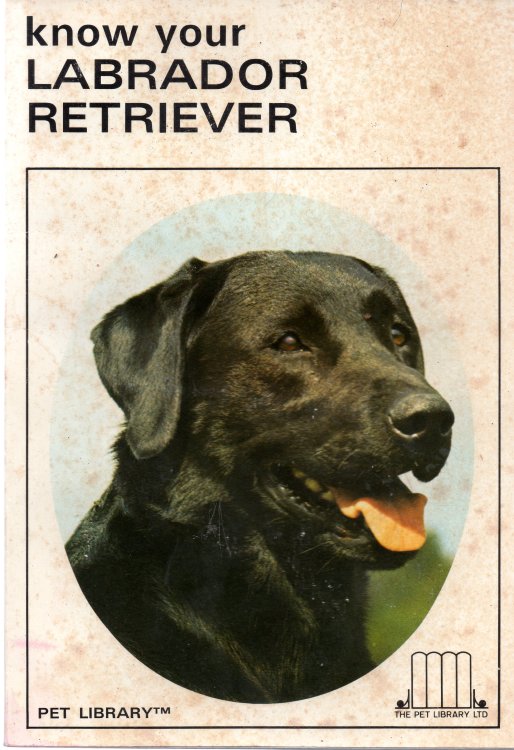 Know Your Labrador Retriever