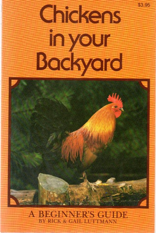 Chickens in Your Backyard: A Beginner's Guide
