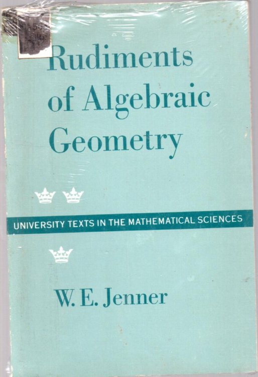 Rudiments of Algebraic Geometry