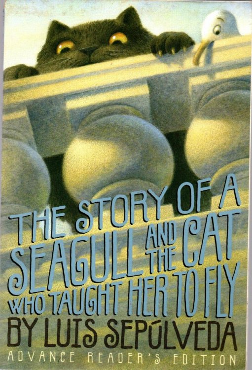 The Story of a Seagull and The Cat Who Taught Her To Fly