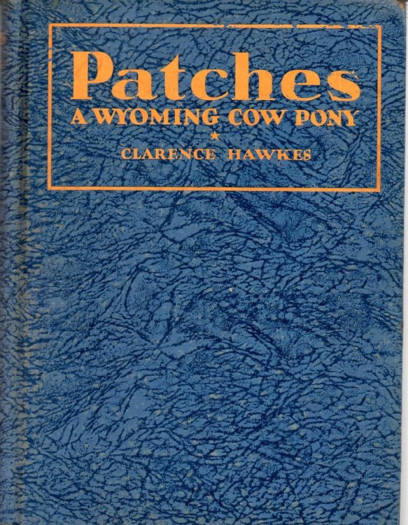 Patches A Wyoming Cow Pony