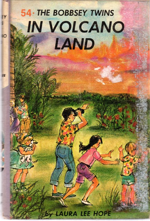 The Bobbsey Twins In Volcano Land