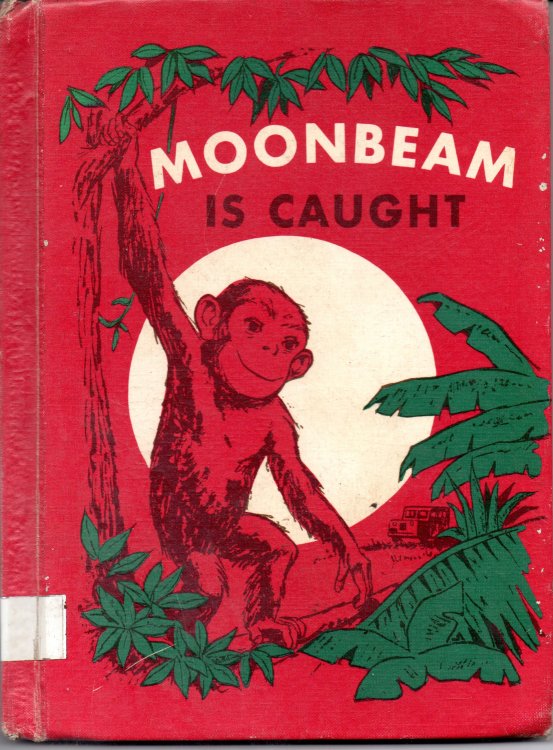 Moonbeam Is Caught