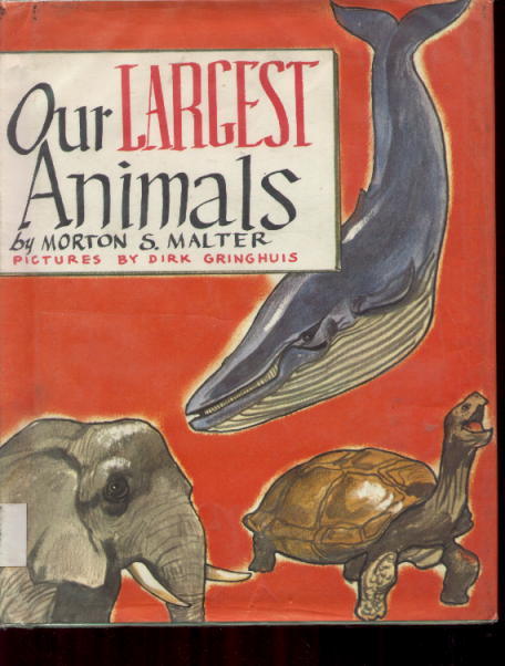 Our Largest Animals