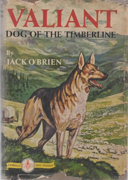 Valiant: Dog of the Timberline
