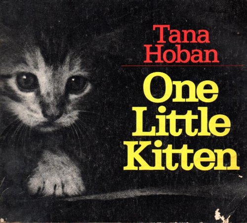 One Little Kitten