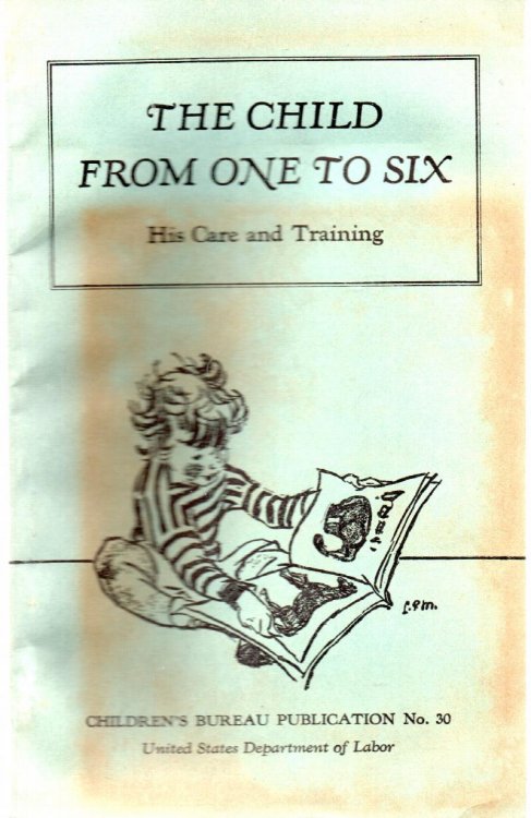 The Child From One To Six: His Care and Training