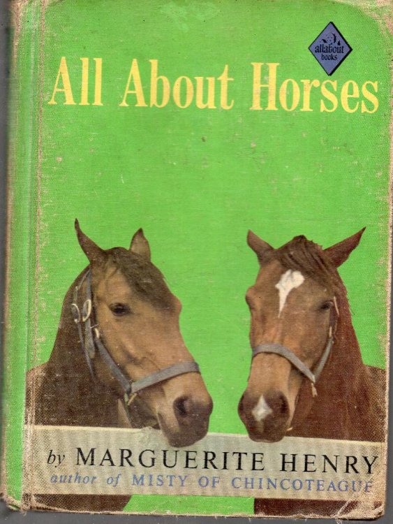 All About Horses