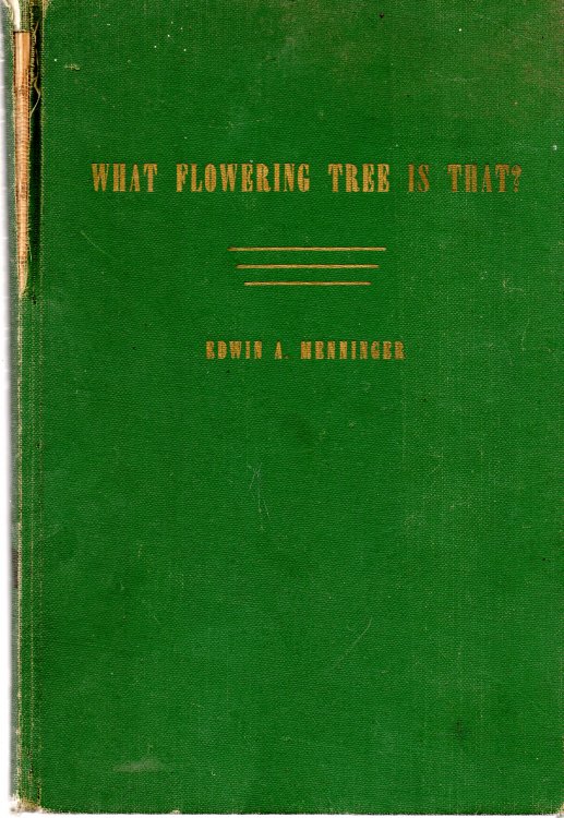 What Flowering Tree Is That