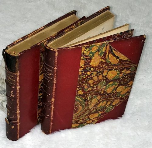The Cloister and the Hearth: A Tale of the Middle Ages (Two Volumes)