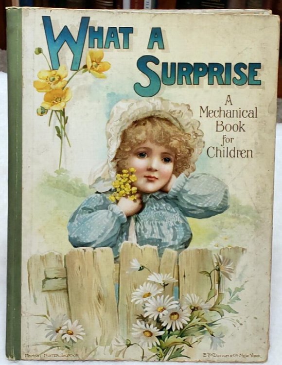 What a Surprise: A Mechanical Book for Children