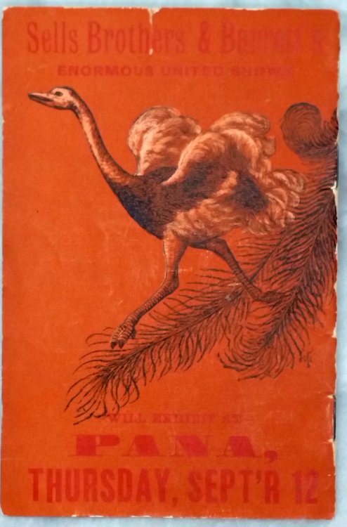 Facts and Fancies of an Ostrich Farm