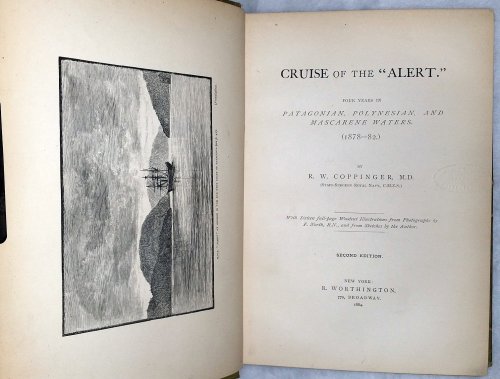 Cruise of the 