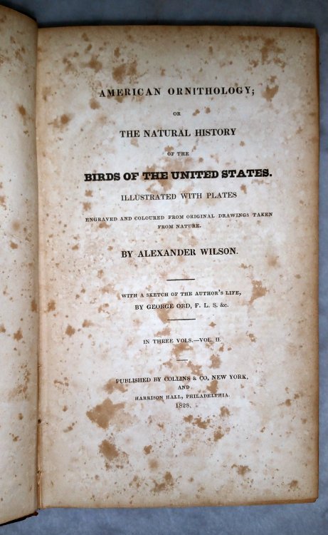 American Ornithology; or The Natural History of the Birds of the United States (Three Text Volumes ONLY)