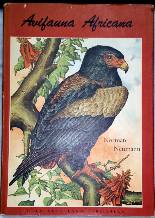 Avifauna Africana: 12 Watercolours of South African Wild Birds