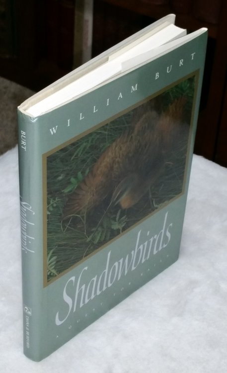 Shadowbirds: A Quest for Rails