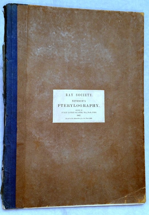 Nitzsch's Pterylography, Translated from the German