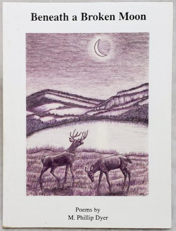 Beneath a Broken Moon