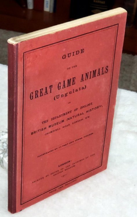 Guide to the Great Game Animals (Ungulata) in the Department of Zoology, British Museum (Natural History), Cromwell Road, London, S.W.