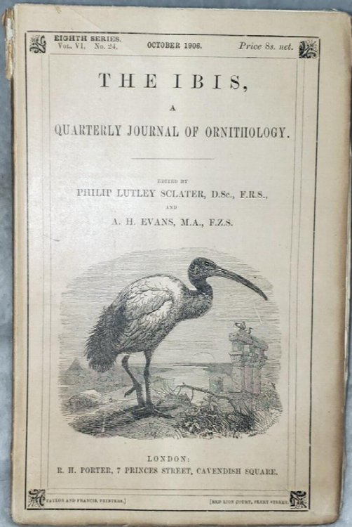 The Ibis, A Quarterly Journal of Ornithology, Eighth Series, Vol. VI. No. 24. October 1906