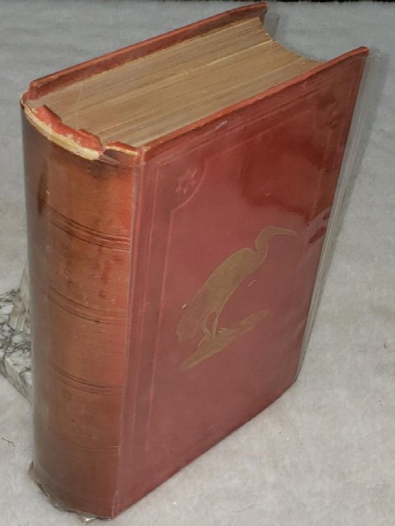 The Ibis, A Quarterly Journal of Ornithology, Seventh Series, Vol. VI. 1900